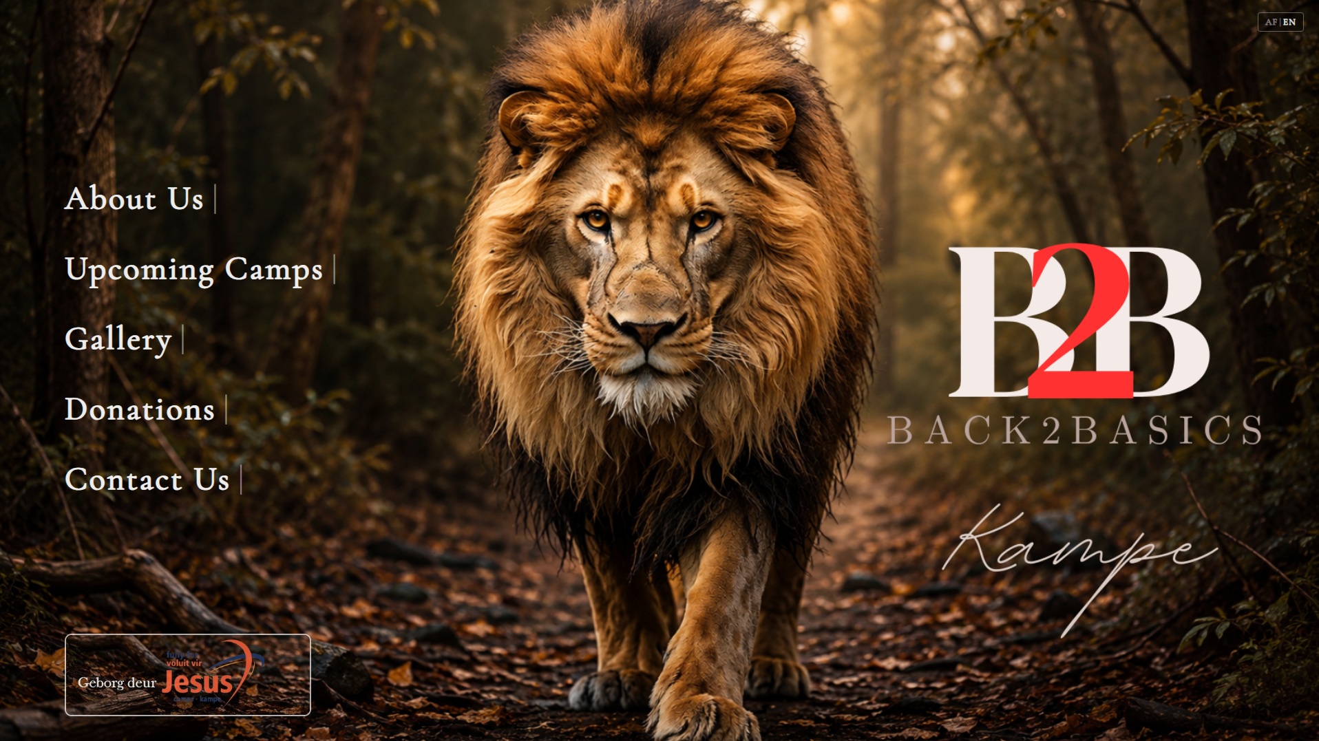 Back2Basics Kampe website